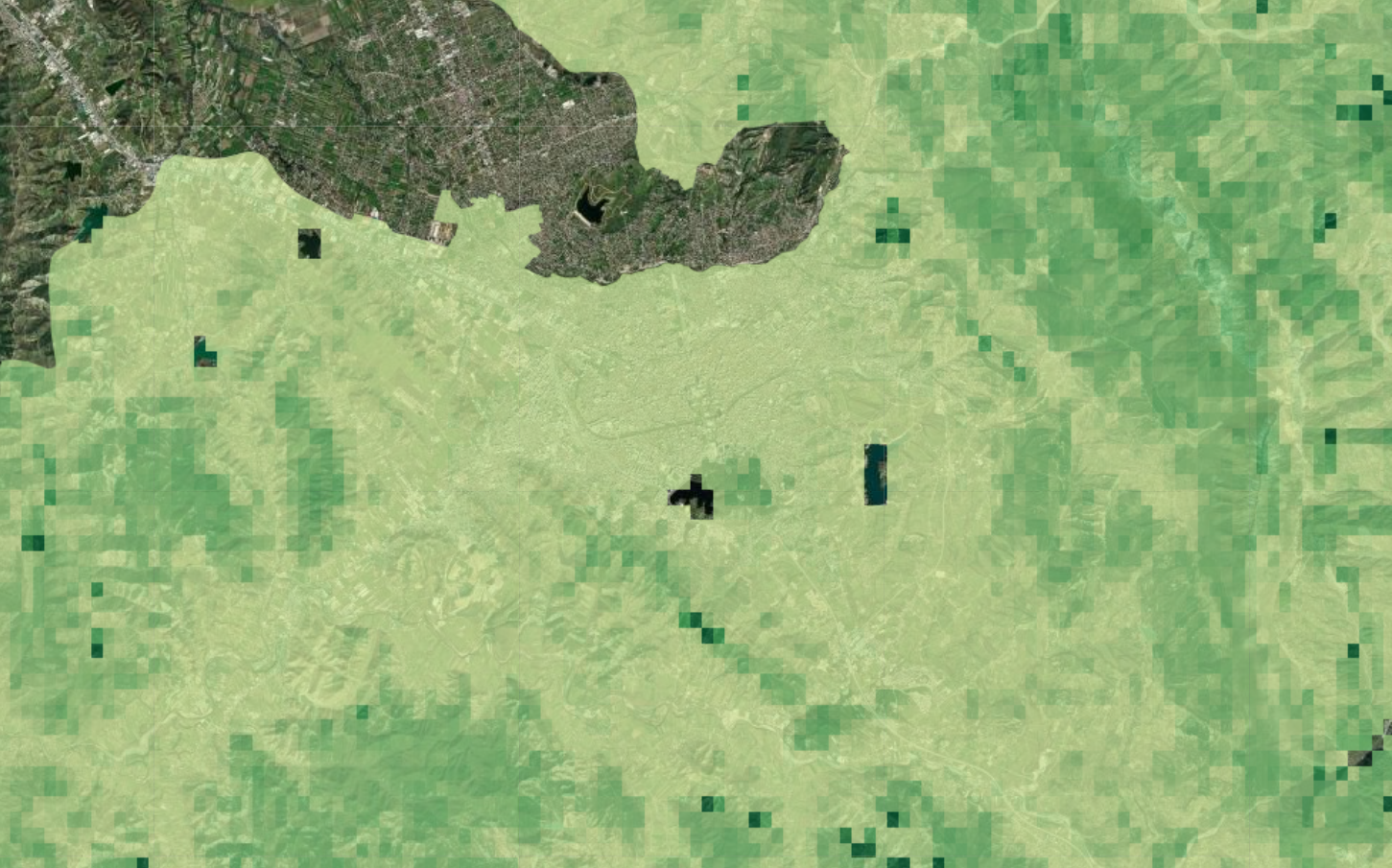 Belowground Carbon Density